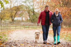 Cardio: motorul energiei și al sănătății. Cum îți transformă exercițiile de tip cardio corpul și starea de spirit