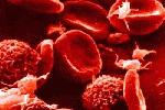 Probleme ale vaselor de sange si a aparatului circulator 