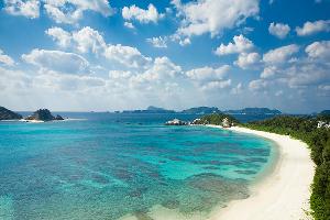 Coral Calciu de Okinawa