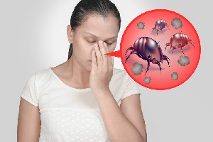 Alergiile la praf. Acarienii: Simptome, tratament si prevenire
