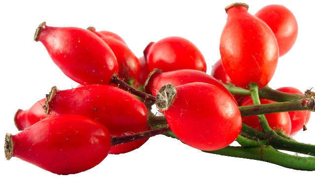 Image result for macese