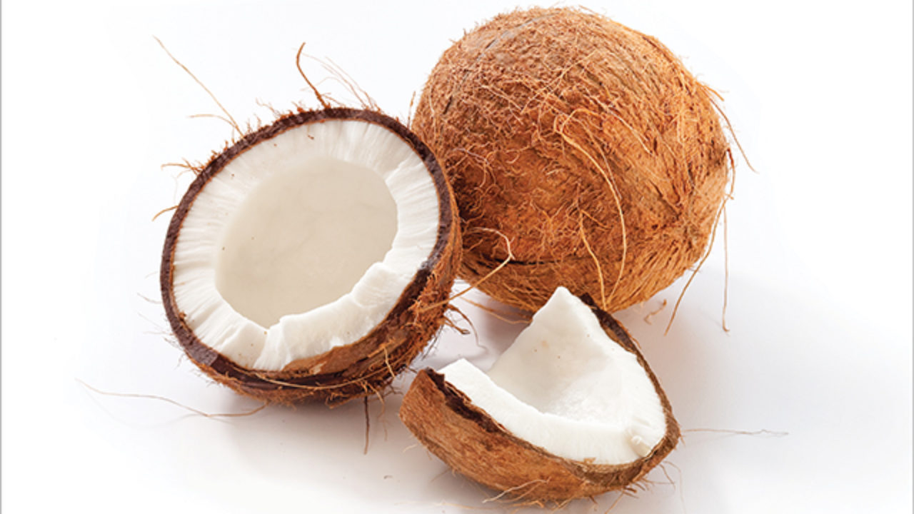 Image result for coconut