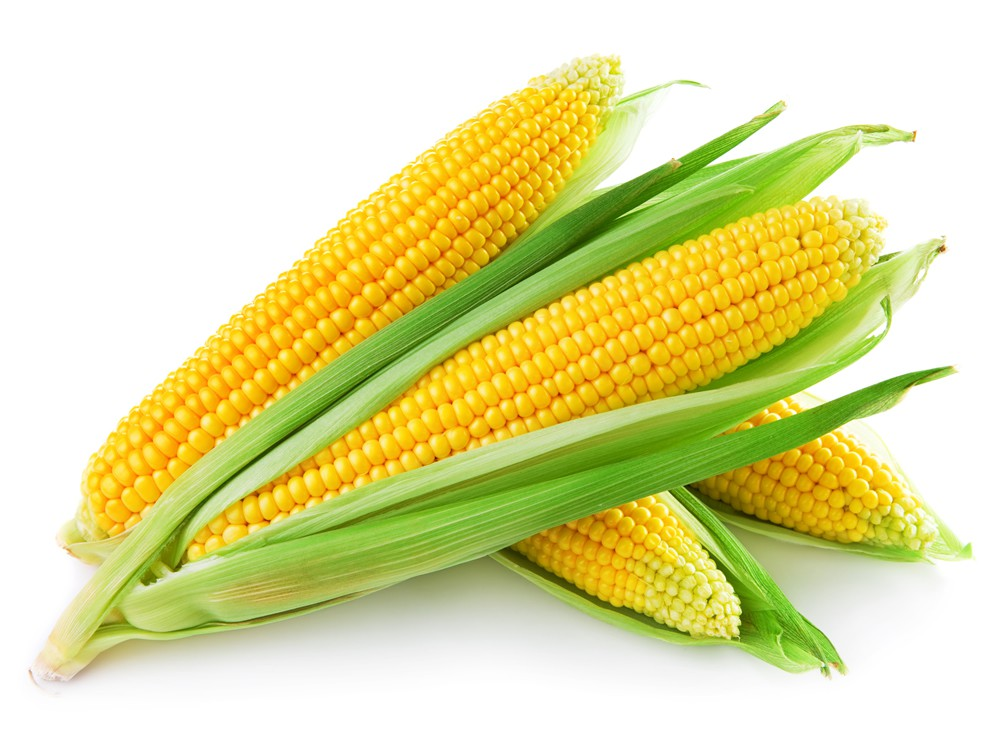 Image result for corn