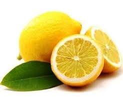 Image result for lamaie