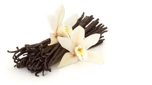 Image result for vanilie