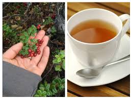 Image result for frunze de merisor