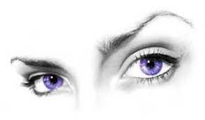 Image result for ochi