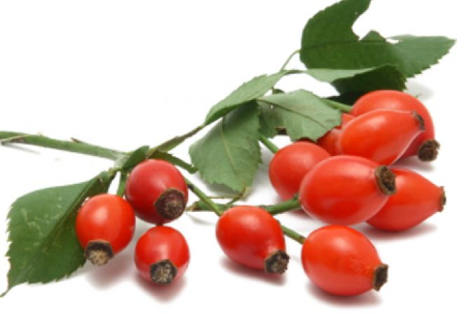 Image result for macese