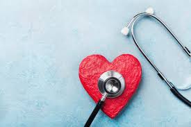 Image result for cardiovascular