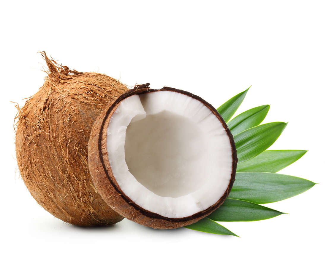 Image result for cocos