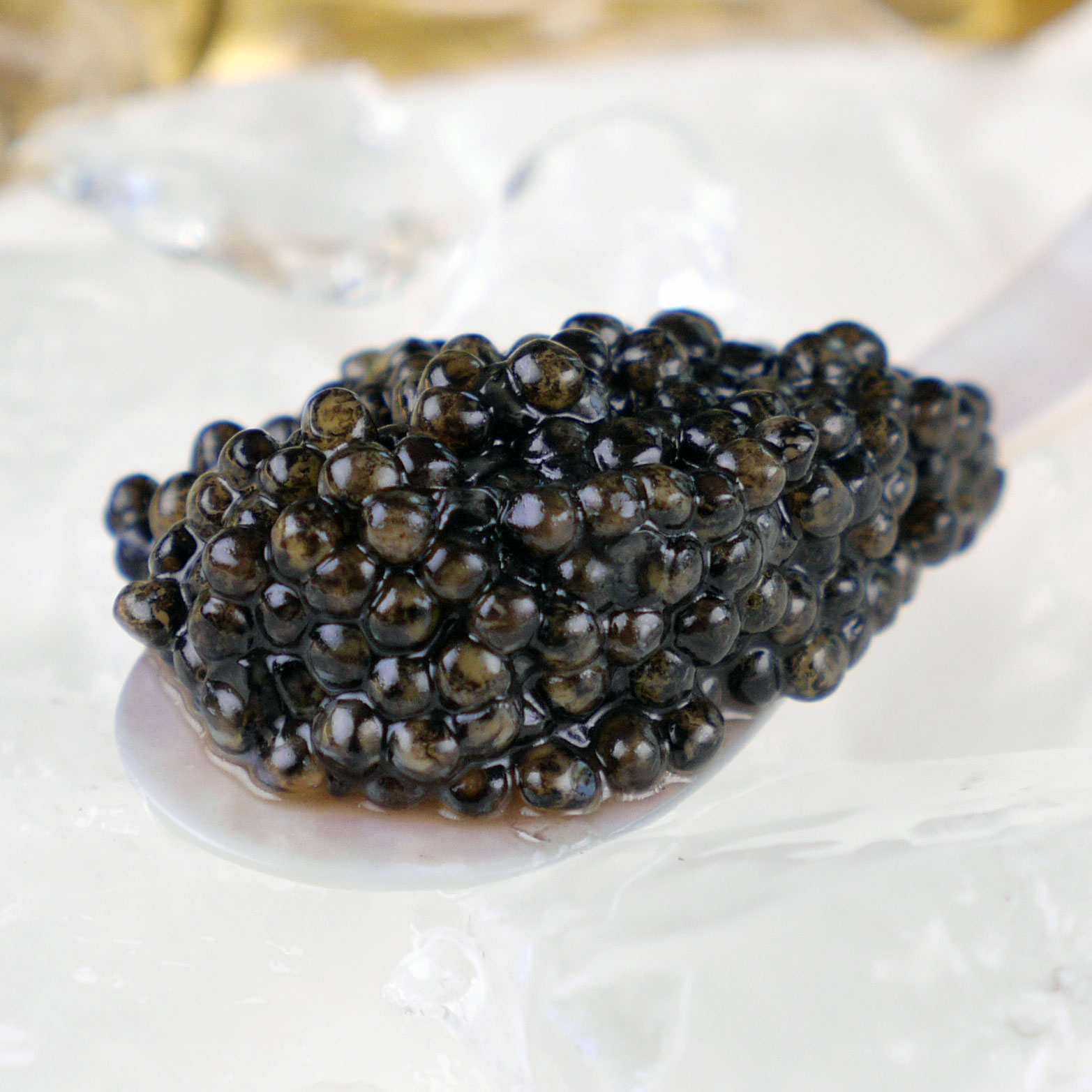 Image result for caviar