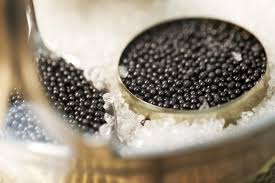 Image result for caviar negru