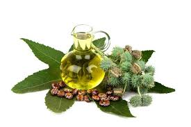 Image result for ricin