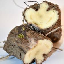 Image result for untul pamantului