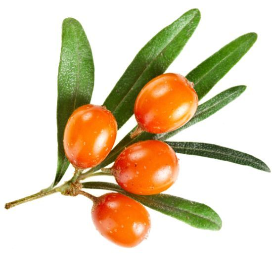 Image result for catina