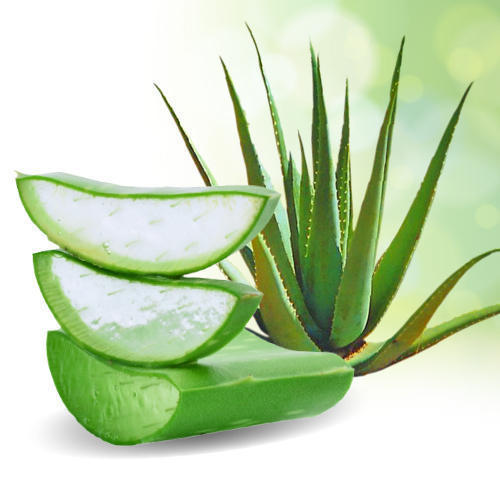 Image result for aloe vera