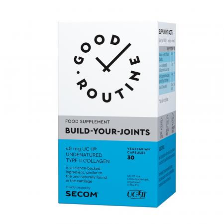 Build-Your-Joints  30cps, Secom