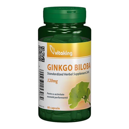 Ginkgo Biloba Forte (cu absorbtie indelungata) 120mg 60cps