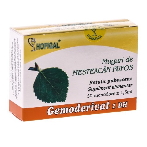 Gemoderivat Mesteacan Pufos 30monodoze Hofigal vitamix.ro