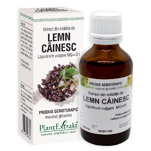 Extract Mladite Lemn Cainesc 50ml Plantexrakt