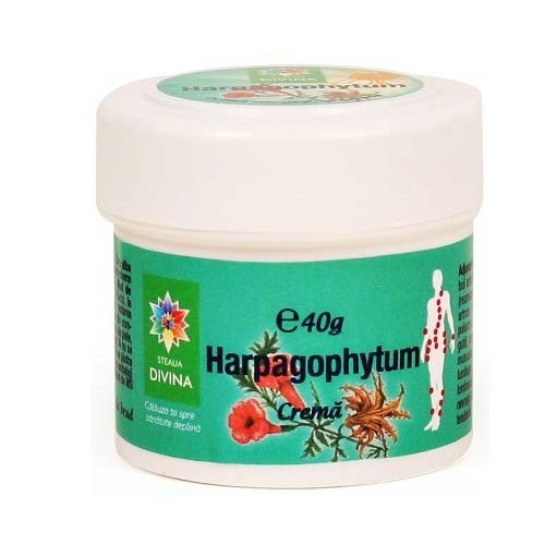 Crema Harpagofitum 40gr Steaua Divina vitamix poza