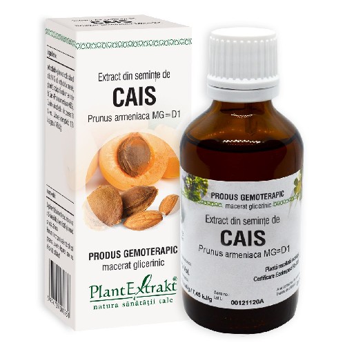 Extract Caise Seminte 50ml Plantextrakt vitamix.ro