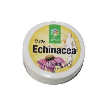Crema Echinacea 20g Steaua divina vitamix.ro imagine noua reduceri 2022