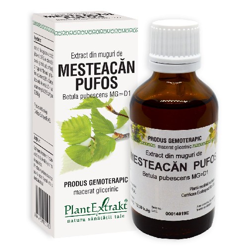 Extract Muguri Mesteacan Pufos 50ml Plantextract vitamix.ro