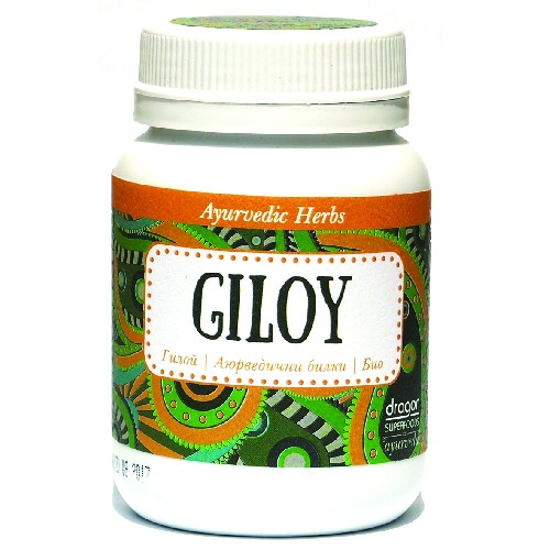 Giloy Pudra Raw Bio 90gr Dragon Superfoods vitamix poza