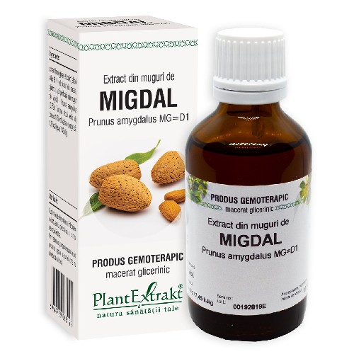 Extract Din Muguri De Migdal 50ml PlantExtrakt
