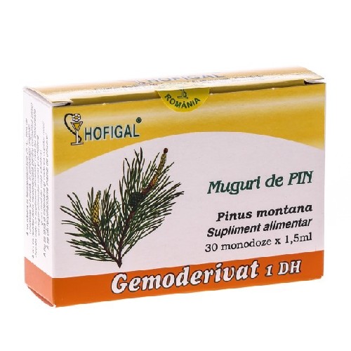 Gemoderivat Pin 30monodoze Hofigal vitamix.ro