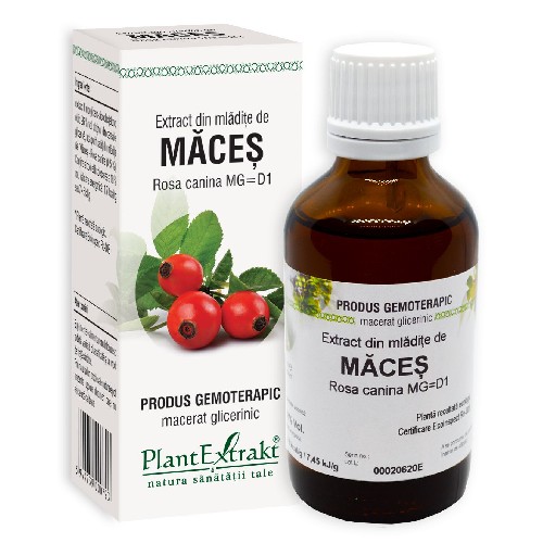 Extract Maces 50ml Plantextrakt