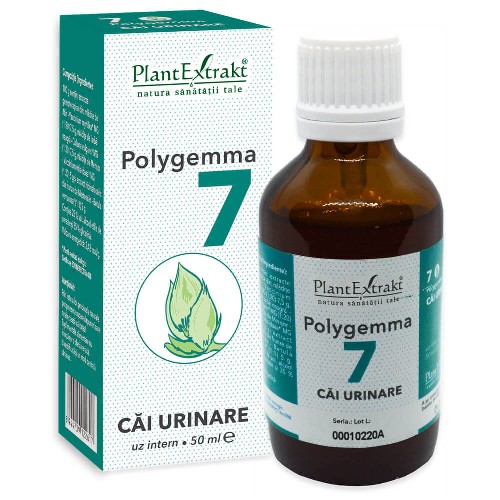 Polygemma 7 -Cai Urinare- 50ml Plantextrakt vitamix.ro imagine noua reduceri 2022