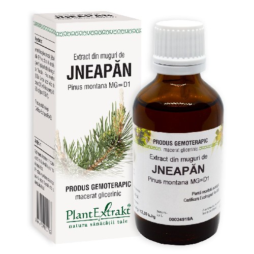Extract Jneapan, 50ml, Plantextrakt
