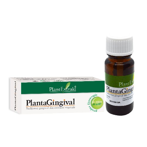 Plantagingival 10ml Planextrakt vitamix poza