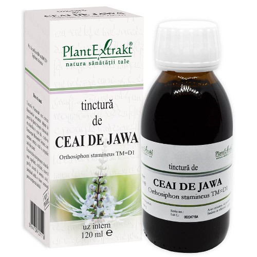 Tinctura Ceai de Jawa 120ml PlantExtrakt vitamix.ro imagine noua reduceri 2022