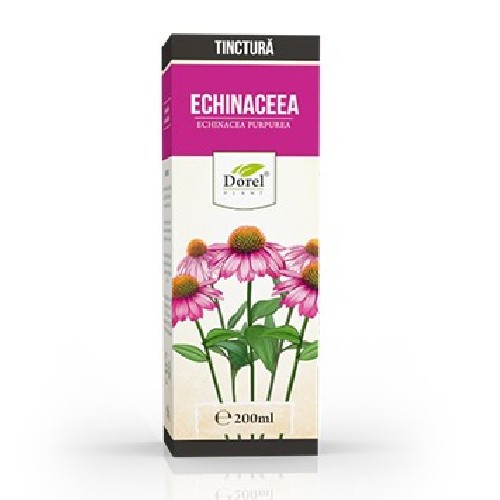 Tinctura de Echinaceea, 200ml, Dorel Plant imagine produs la reducere