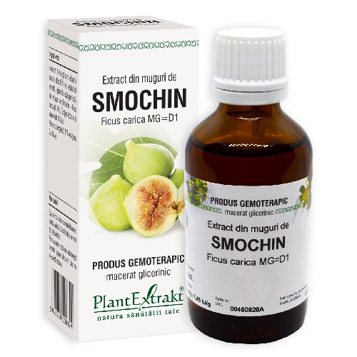 Extract din Muguri de Smochin 50ml Plantextrakt vitamix poza