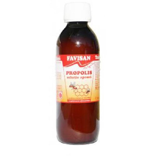 Sirop Propolis 250ml Favisan vitamix poza