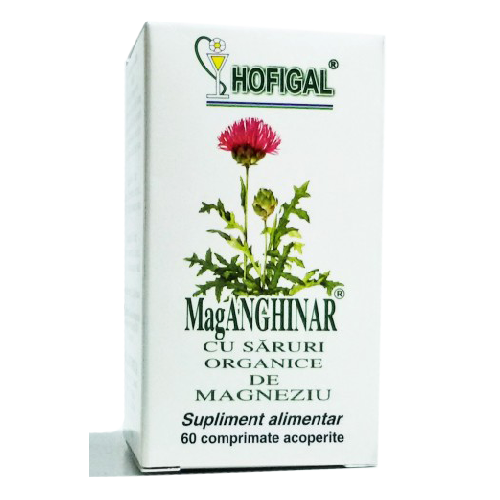 Maganghinar cu Saruri demg 60cpr Hofigal vitamix.ro imagine noua reduceri 2022