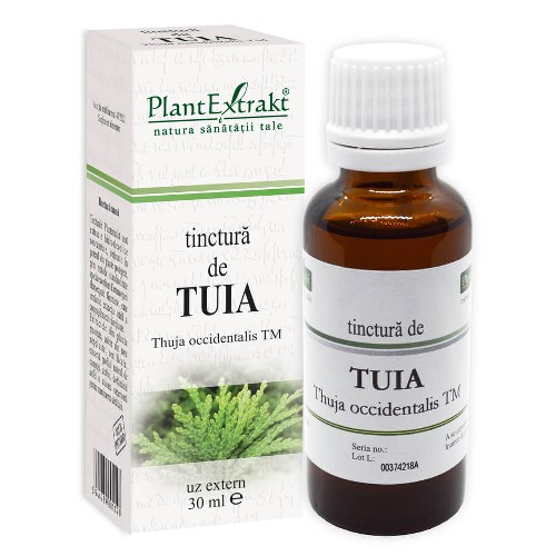 Tinctura Tuia 30ml Plantextrakt vitamix.ro imagine noua reduceri 2022
