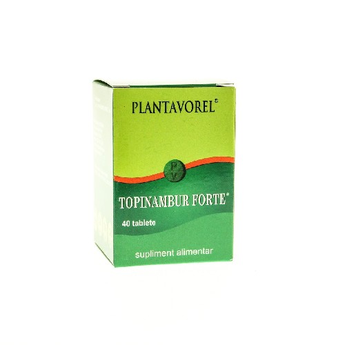 Topinambur Forte 40tabl plantavorel