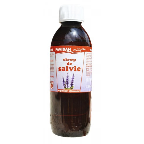 Sirop De Salvie Favisan 250ml vitamix poza