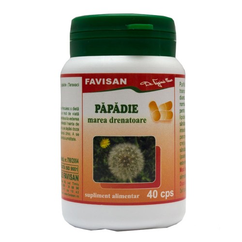 Papadie 40cps Favisan vitamix.ro