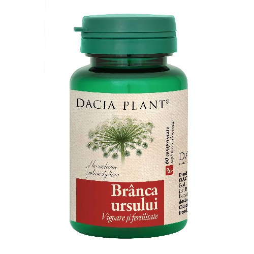 Branca Ursului, 60cpr, Dacia Plant vitamix poza