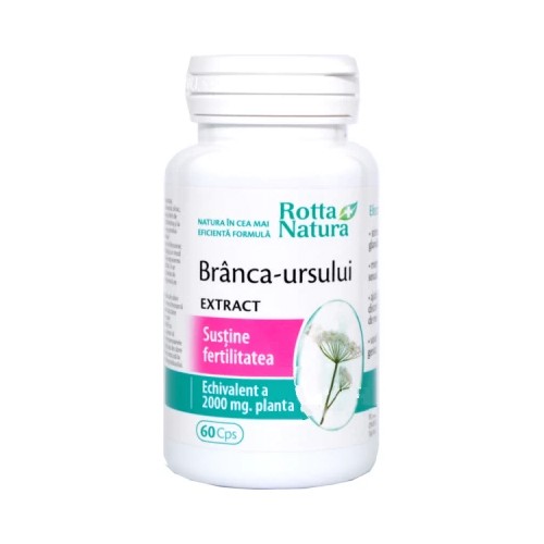 Branca Ursului Extract 60cp  Rotta Natura