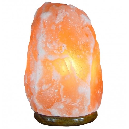 Lampa Electrica din Cristale de Sare Himalaya 35-50kg Monte vitamix poza