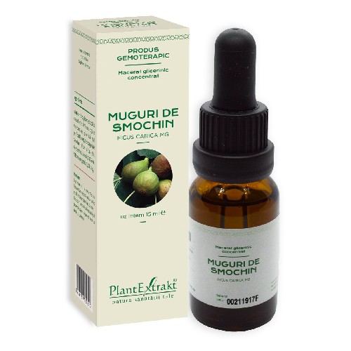 Concentrat Muguri Smochin 15ml PlantExtrakt