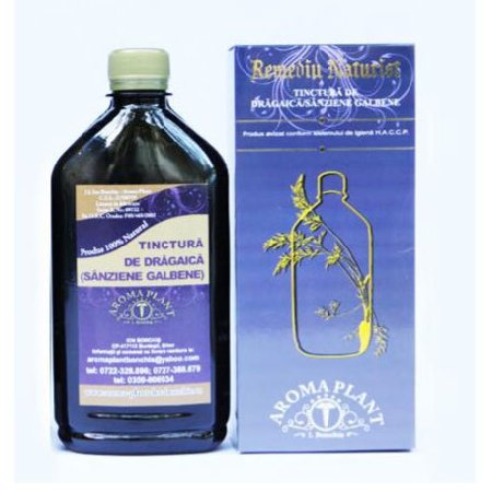 Tinctura de Dragaica 500ml Aroma Plant vitamix poza