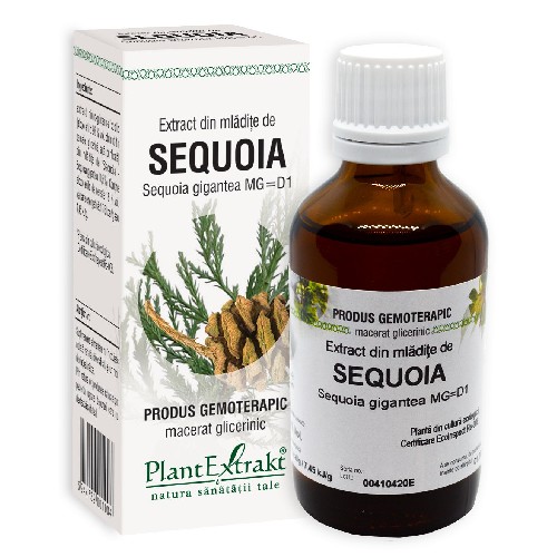 Extract Mladite Sequoia 50ml Plantextrakt vitamix.ro imagine noua reduceri 2022